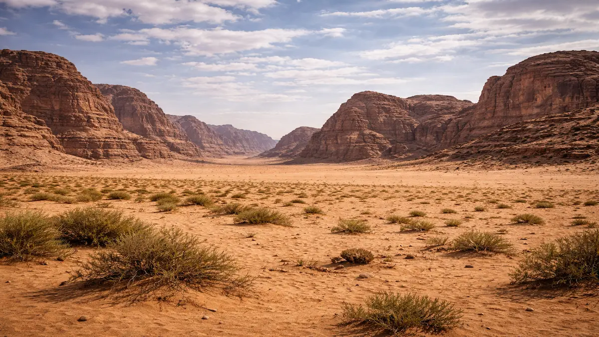 Wadi Rum Landscape